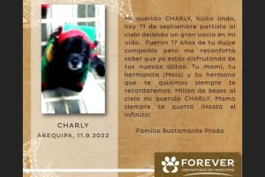 Chifa Hnos. Charly