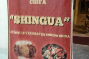 Chifa Shingua